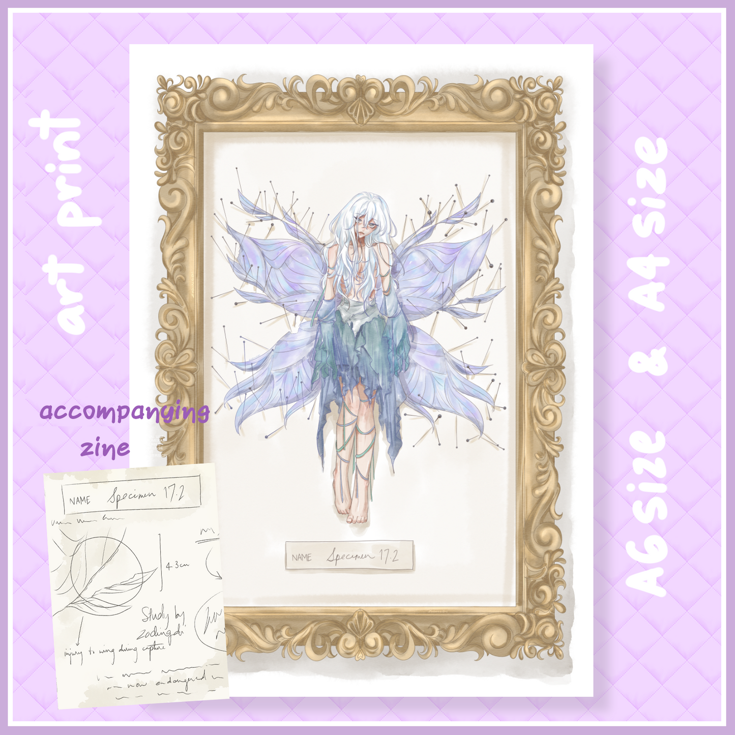 specimen - original print